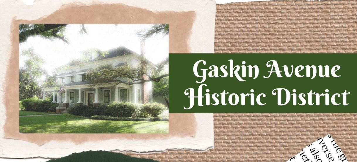 Image of Gaskin Avenue Local Historic District Intro Photo