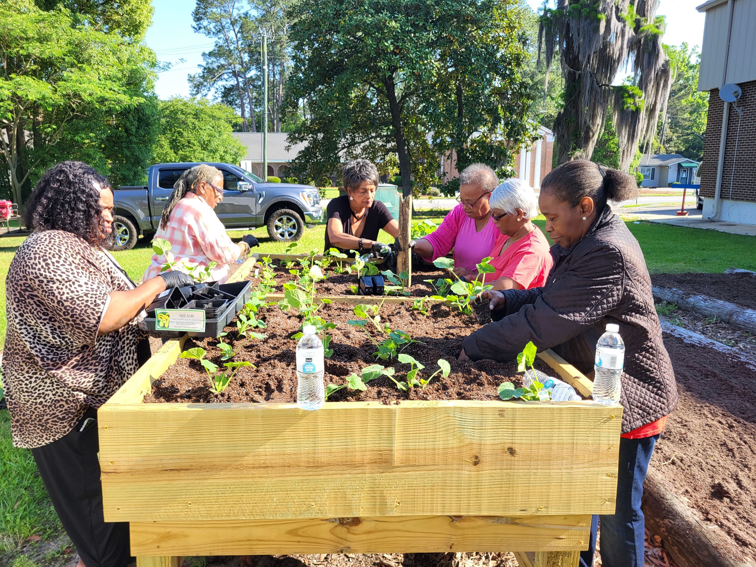 KDB Planting Garden for Senior Center (24)